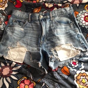 AE high rise festival shorts
